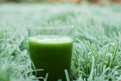 FNI healthy green vegetable juice