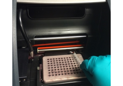 FNI Samples loaded on a PCR thermocycler in a method to test for foodborne pathogens