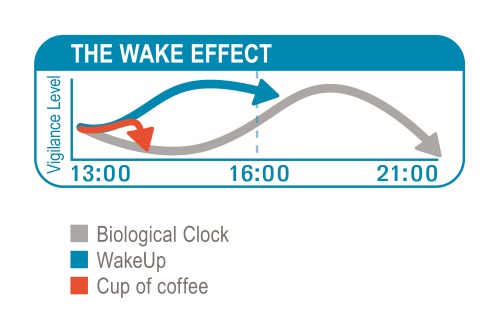 FNI infographic on the wakeup drink effect
